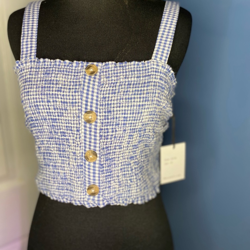 Joie Blue Gingham Smocked Button Crop Top